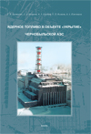 Ядерное топливо в объекте «Укрытие» Чернобыльской АЭС